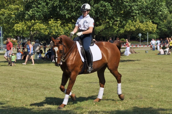 Polizeidirektion   157.jpg